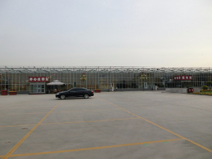 天津寧河齊心現代農業示范園區